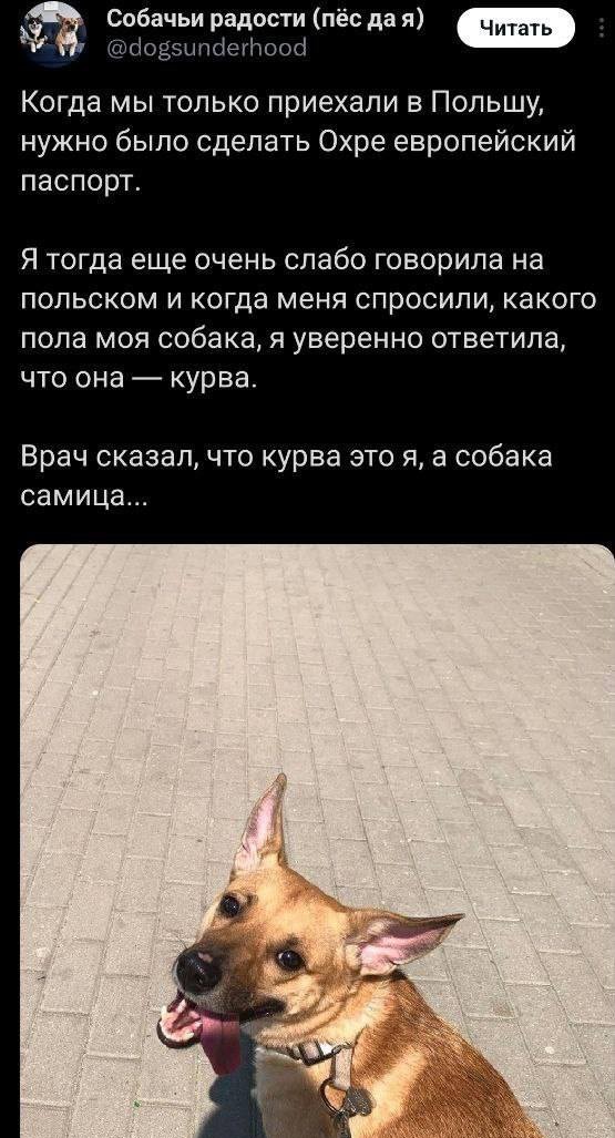 Так себе картинки 13.02.24