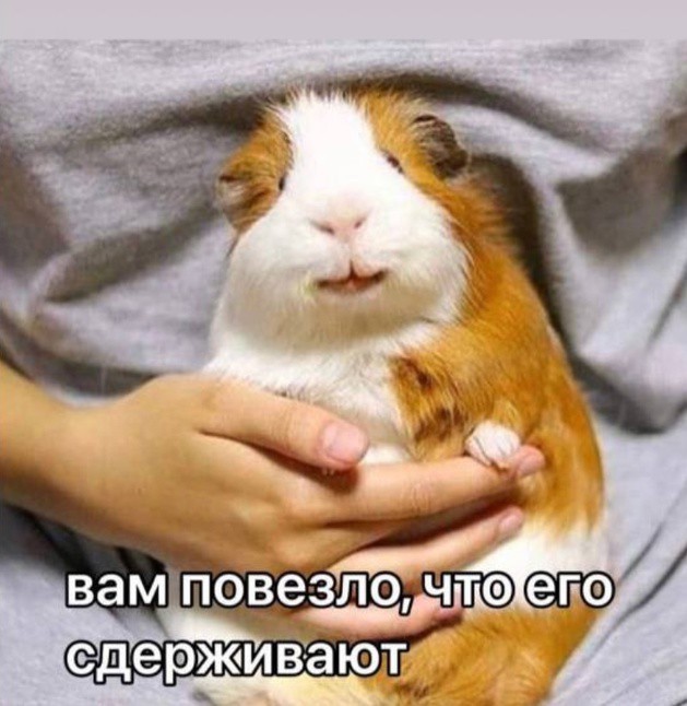Всего понемногу. От 02.12.2024