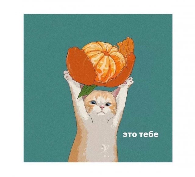Так себе картинки 31.12.24