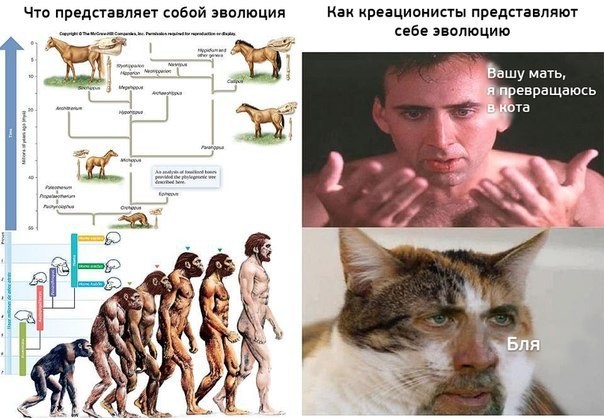 Манифест от отчаявшегося ЯПовчанина Сова82
«Даёшь деградацию! Вернём ЯП в истоки!»