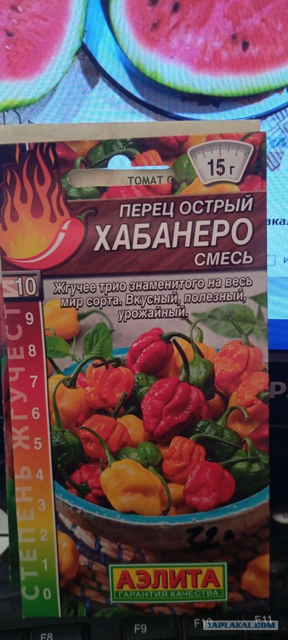 Готовимся к дачному сезону 2025