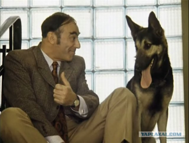 Минута нововстей