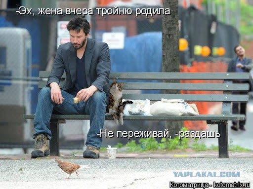 У нас щенки