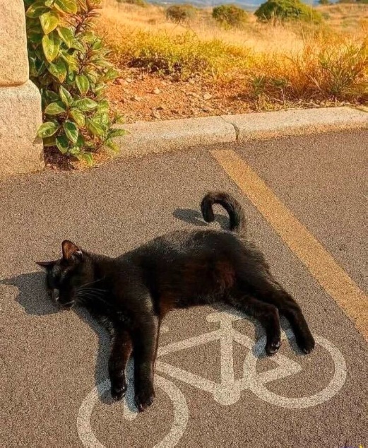 Так всякие картинки
