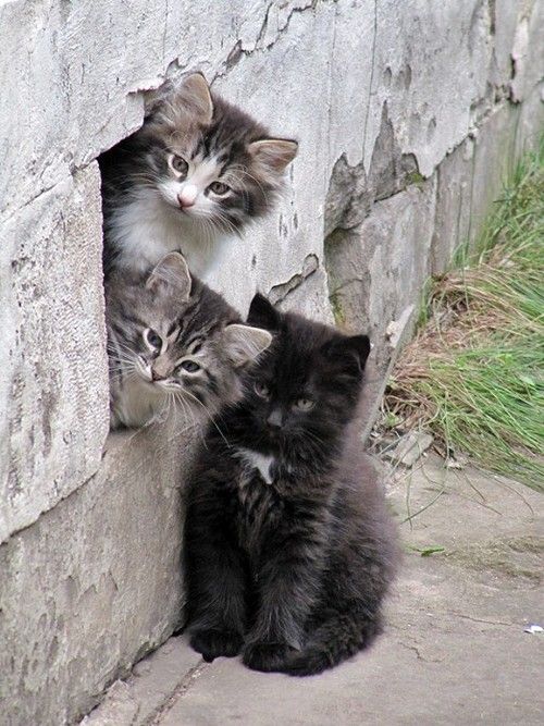 Прикольные и просто красивые картинки 18.11.2025