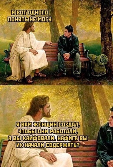 Мой кот