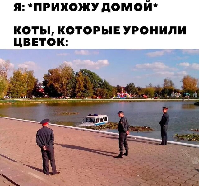 Картинки для деградации 131 (разной степени свежести)