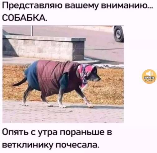 Прикольные и просто красивые картинки 06.02.2026