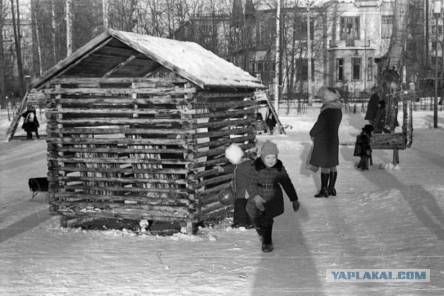 Субботние картинки