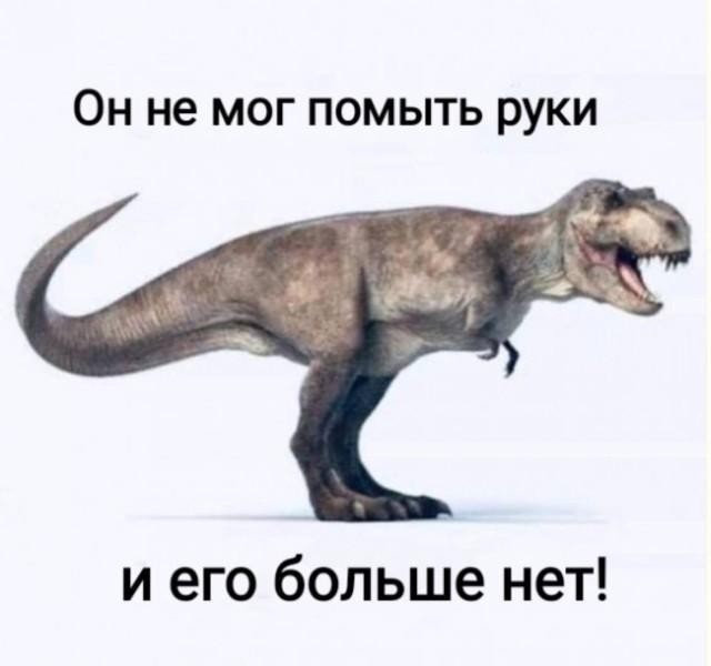 Картинки для деградации 216 (разной степени свежести)