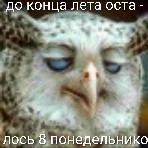 Внимание!