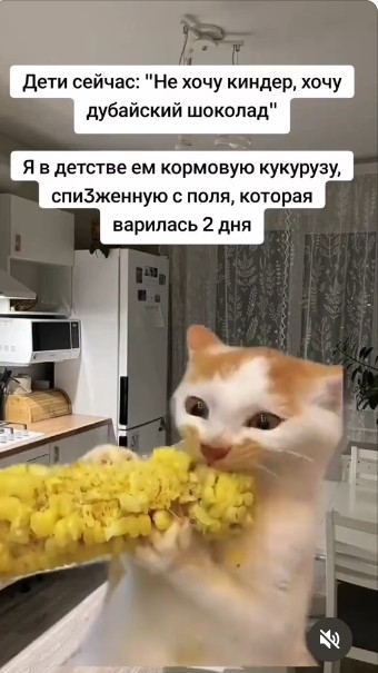 Картинки для деградации 247 (разной степени свежести)