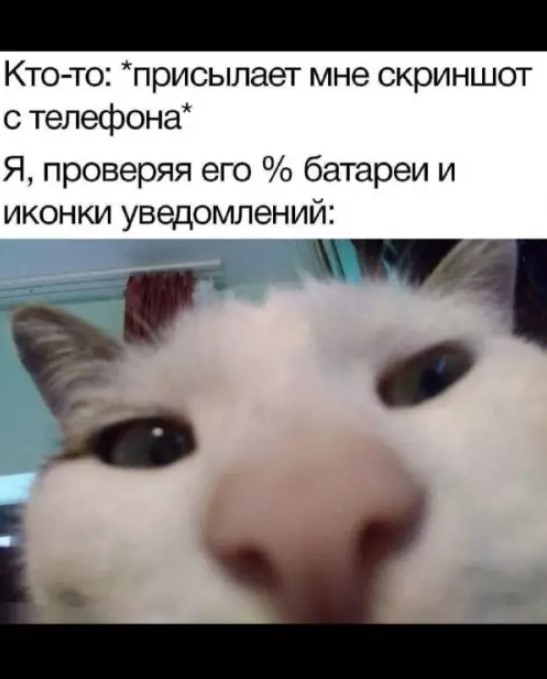 Веселое настроение в картинках 16.08.26