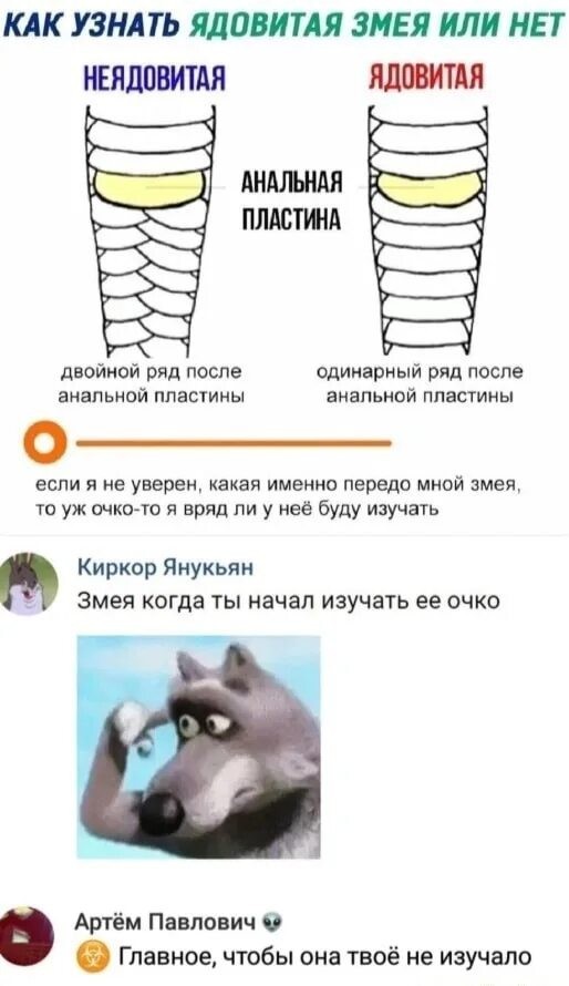 Змея выползла из вентиляции прямо к москвичу в душ