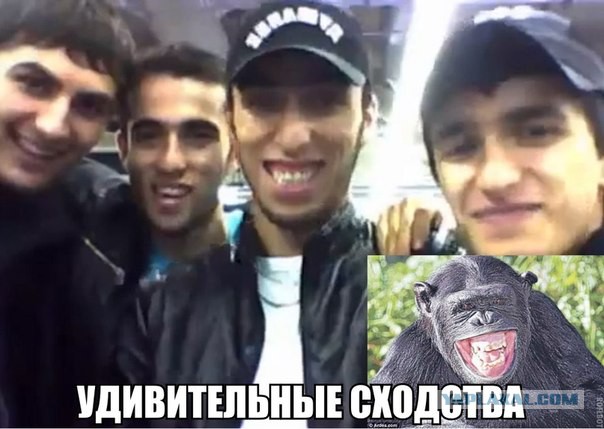 Жесткий пиздец из Ингушетии
