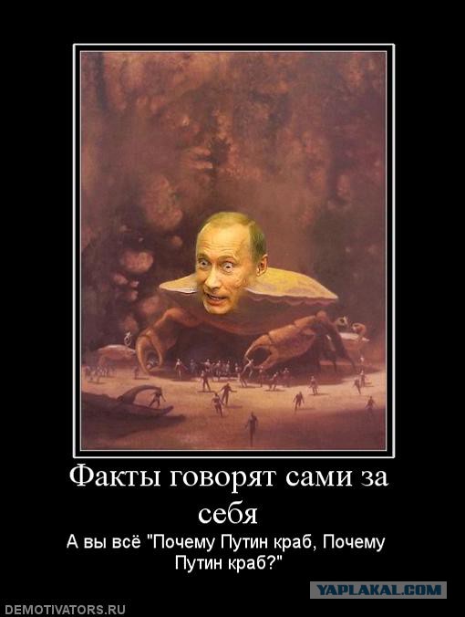 КРАБ утащил камеру
