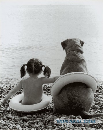 Прошу понять и простить