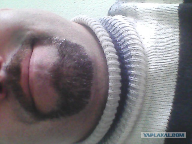 Выращиваем бороду в комнатных условиях