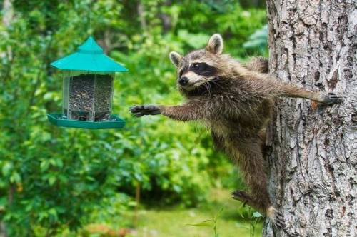 удалить! тест !