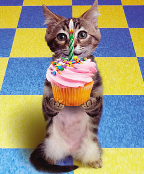 http://s00.yaplakal.com/pics/pics_original/0/3/5/3316530.jpg