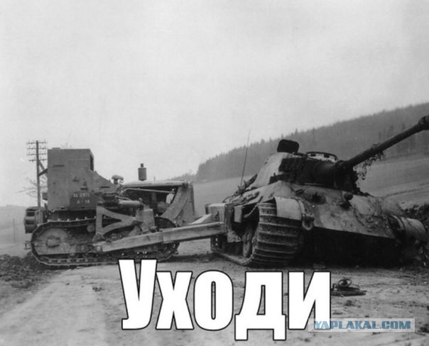 Wargaming 12, WoT сотоварищи