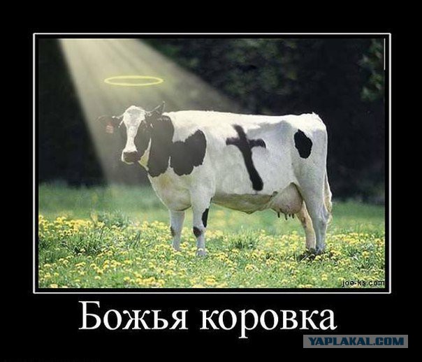 Поднимаем настроение