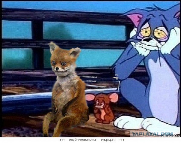 А вот вам: Как влияет алкоголь на мозг.
