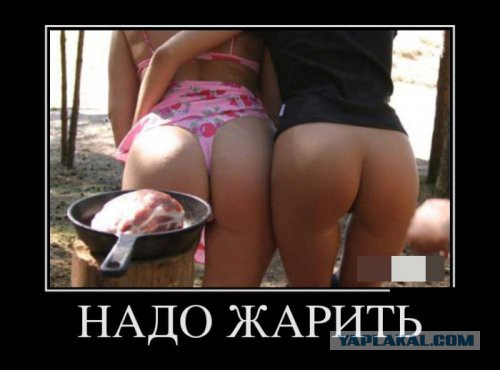 Вестник соцсетей