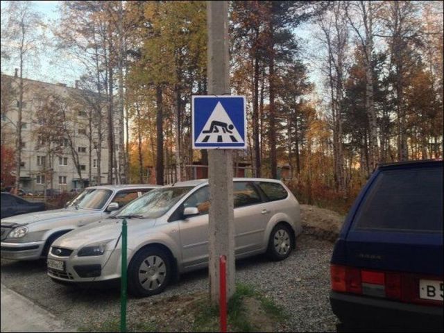 Весёлые картинки