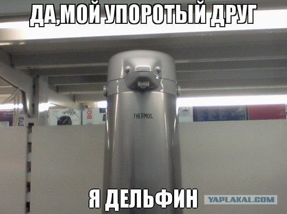 Упоротость вокруг нас