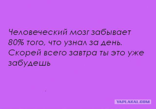 20 фактов обо всем