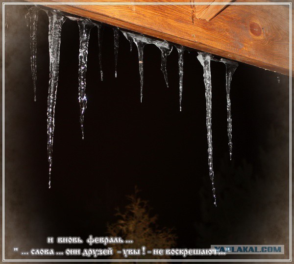 Тема памяти БоРмАnа и Дженибека, Готовим по рецептам ребят