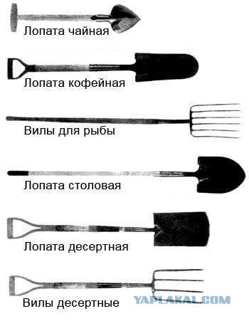 Самолет сбросил на Сосновке тонну колбасы