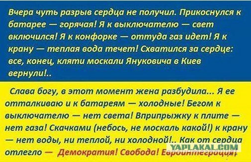 Солянка политическая #8