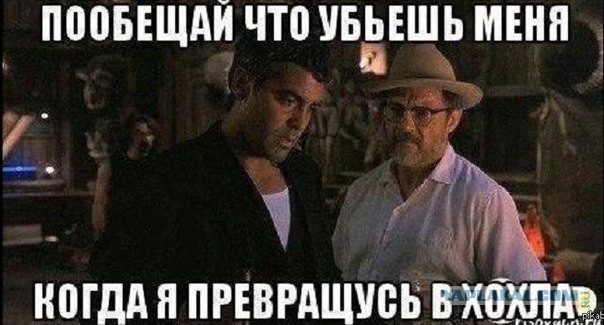 маразмы укропатриотки