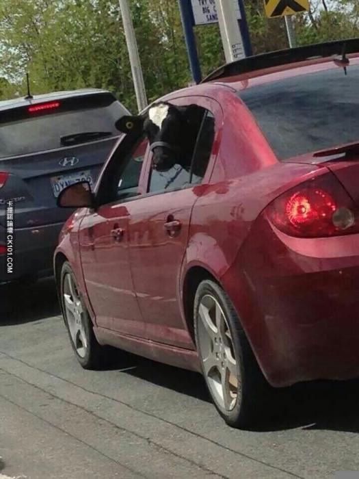 Автоприколы-5