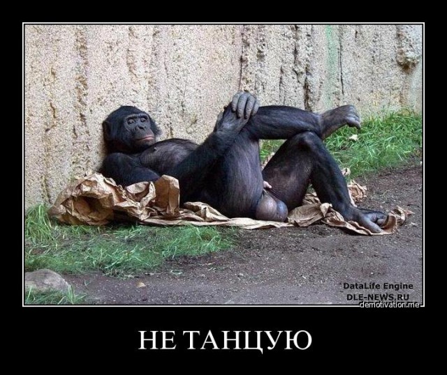 Картинки из инета