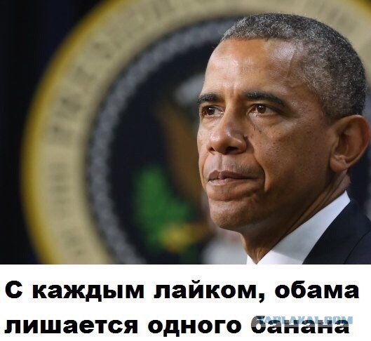 Политотка. Часть 2