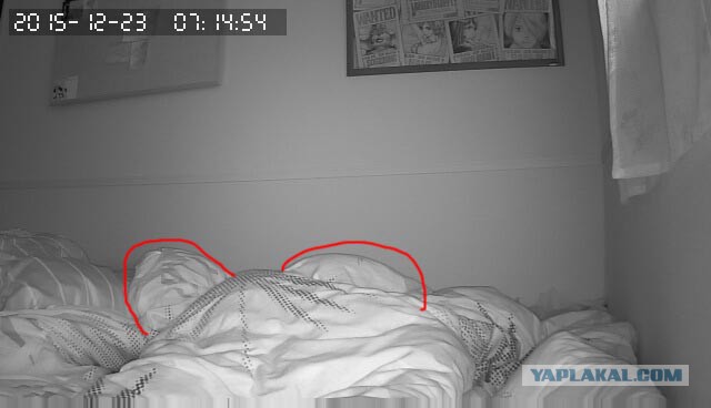 За что я люблю китайцев