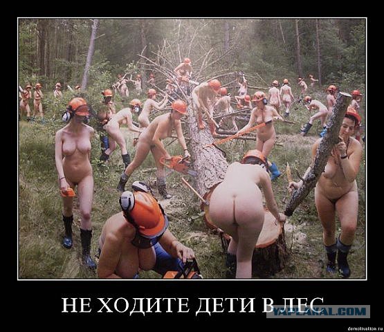 Отовсюду понемногу