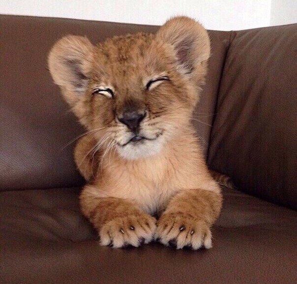 Подборка картинок 17.02.16