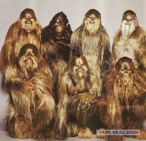 Чубаров презентовал план по захвату Крыма украинской армией