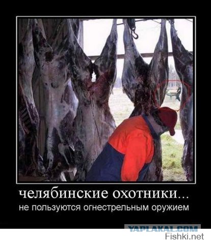 Картинки этих ваших интернетов