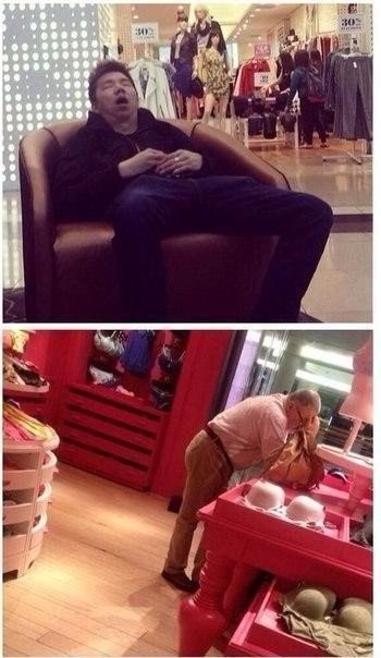 Картинки и приколы из сети