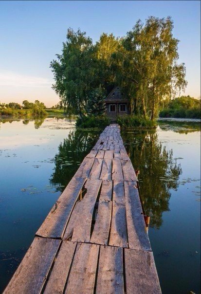 Порция картинок