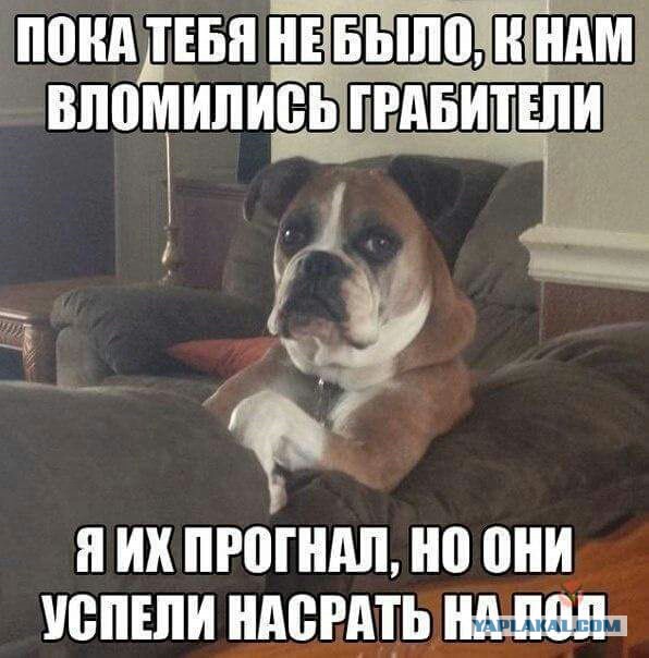 Немного позитива на выходной я начну а вы продолжите