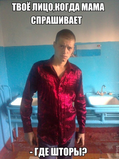 Прикольные картинки