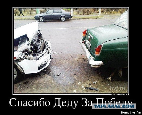 Смешные картинки из сети