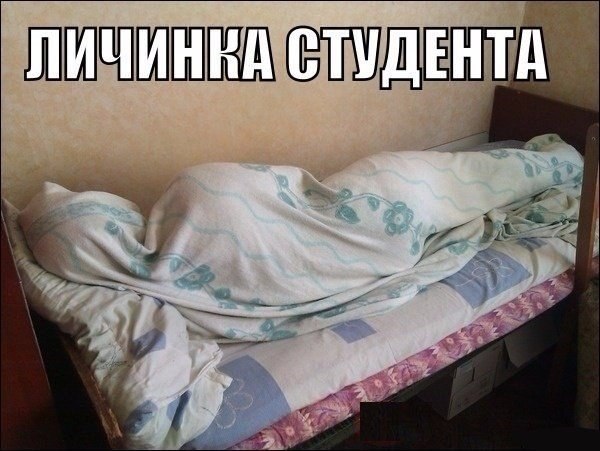 Картинки со смыслом и без - 3