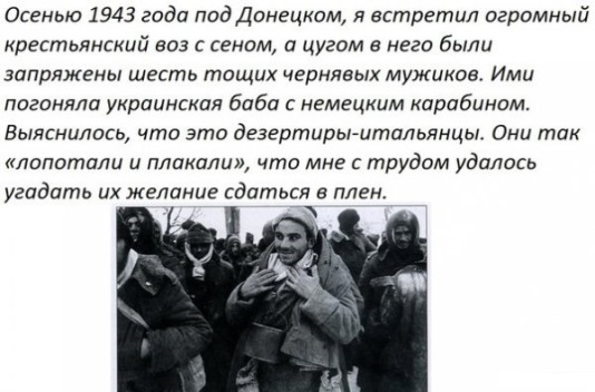 Негры вермахта воевали под Ростовом летом 1942-го